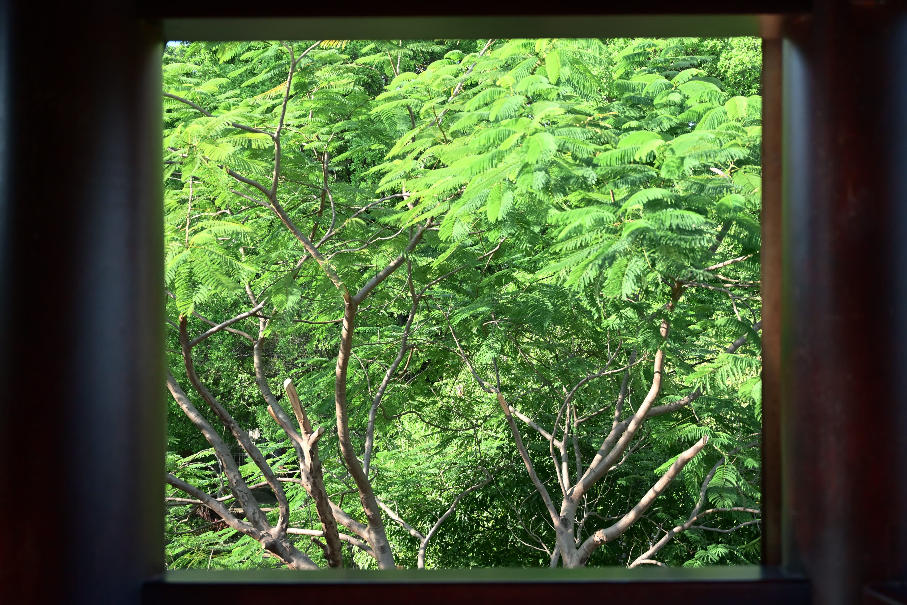 惠州中山公园，拍摄于 2026-02-14