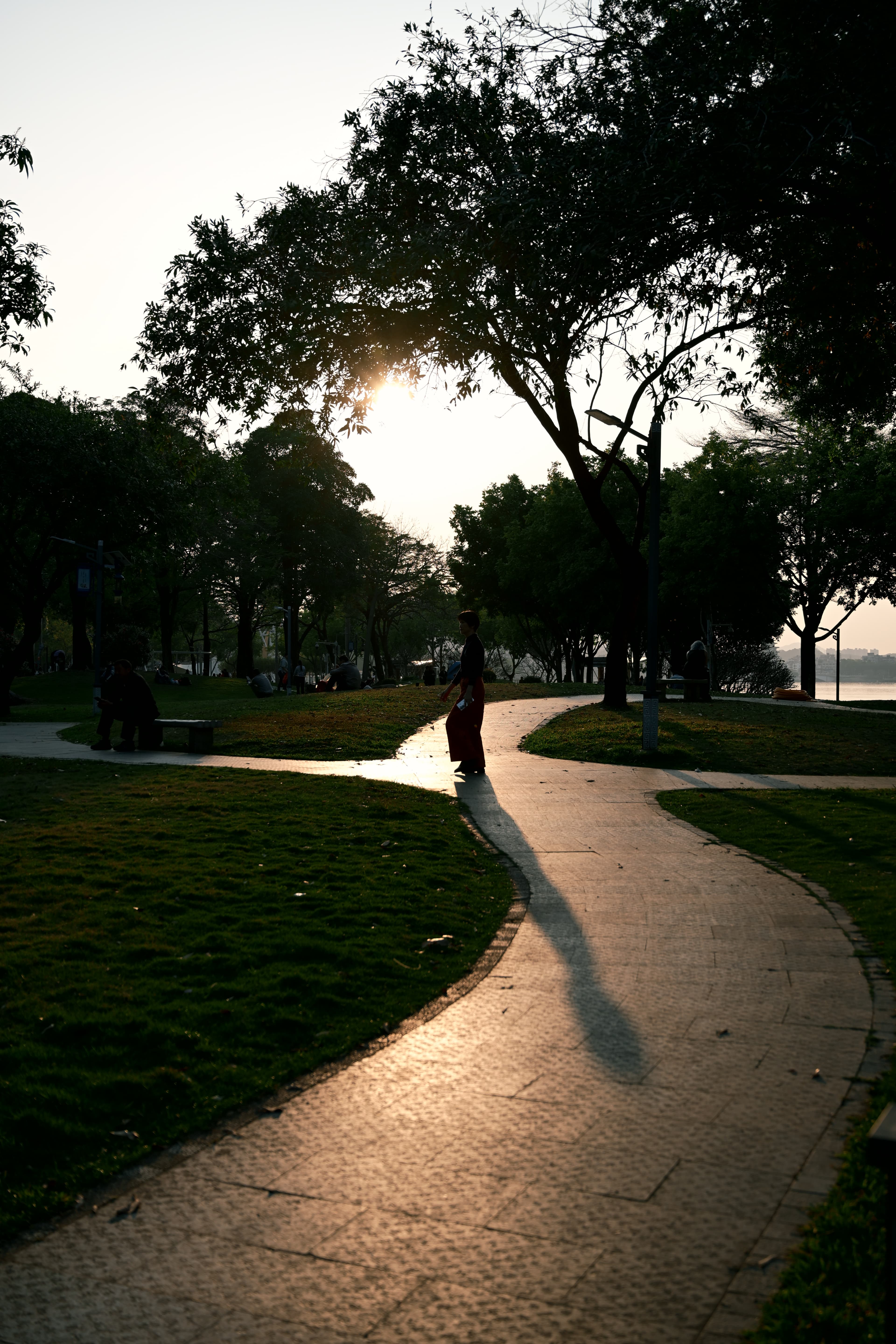 惠州东江沙公园，拍摄于 2026-02-19